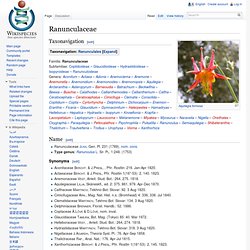 Ranunculaceae