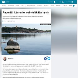 Raportti: Itämeri ei voi vieläkään hyvin