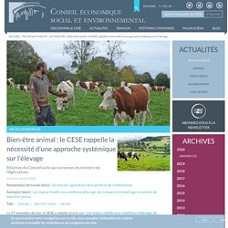 CESE 28/01/20 Bien-être animal : le CESE rappelle la nécessité d’une approche systémique sur l'élevage (avis en ligne)