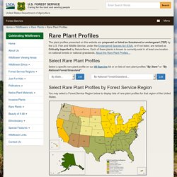 Rare Plant Profiles