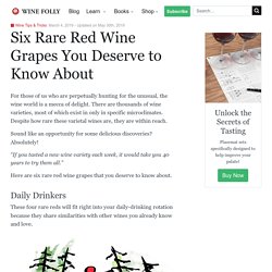 Six Rare Red Wine Grapes You Deserve to Know About