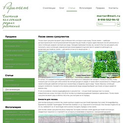 Посев семян суккулентов - Raritet-plants