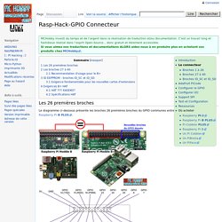 Rasp-Hack-GPIO Connecteur