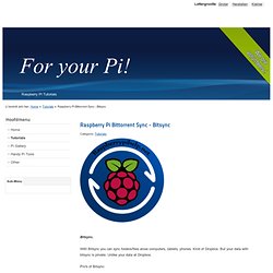 Raspberry Pi Bittorrent Sync - Bitsync