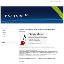 Raspberry Pi CherryMusic - Music Streaming - Spotify look-a-like