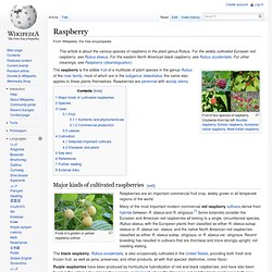 Wiki: Raspberry