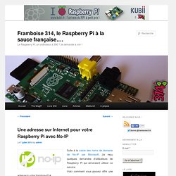 Une adresse sur Internet pour votre Raspberry Pi avec No-IP