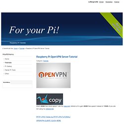 Raspberry Pi OpenVPN Server Tutorial