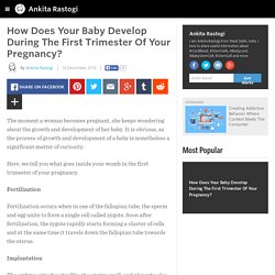 How Does Your Baby Develop During The First Trimester Of Your Pregnancy?