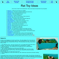 Rat Toy Ideas