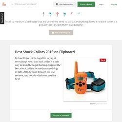 Best Rated Shock Collars for Medium Sized Dogs 2015