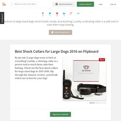 Best Rated Shock Collars for Large Dogs 2016