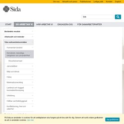 Demokrati, mänskliga rättigheter och yttrandefrihet - Sida