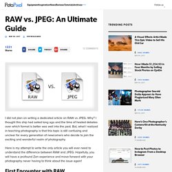 RAW vs. JPEG: An Ultimate Guide