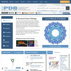 Protein Data Bank - RCSB PDB