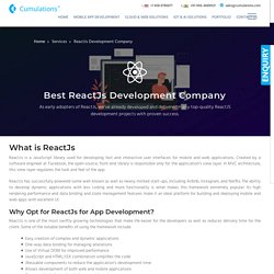ReactJs Development Company