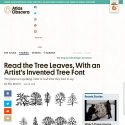 Read the Tree Leaves, With an Artist's Invented Tree Font