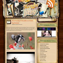 Blog & Shoot the Dog! 45 Beautiful and Artistic Dog...
