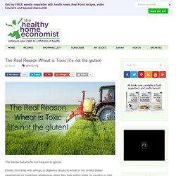 The Real Reason Wheat is Toxic (it's not the gluten)