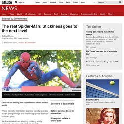 The real Spider-Man: Stickiness goes to the next level