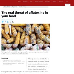 DAILY MONITOR (UG) 22/03/21 The real threat of aflatoxins in your food