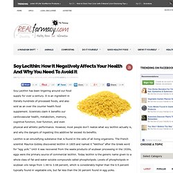 Soy Lecithin: How It Negatively Affects Your Health And Why You Need To Avoid It