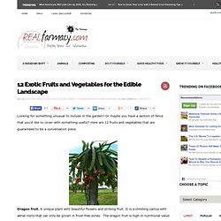 12 Exotic Fruits and Vegetables for the Edible Landscape