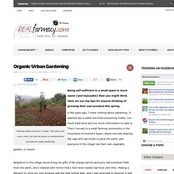Organic Urban Gardening