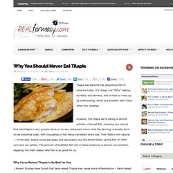 Why You Should Never Eat Tilapia