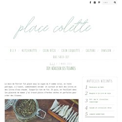 DIY: réaliser ses tisanes - Place ColettePlace Colette