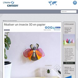 Réaliser un insecte 3D en papier