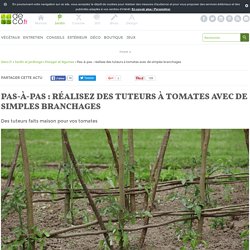 Pas-à-pas : réalisez des tuteurs à tomates avec de simples branchages