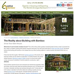 The Reality about Building with Bamboo