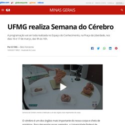 UFMG realiza Semana do Cérebro