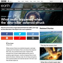 Earth - What really happened when the 'dino-killer' asteroid struck