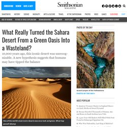 What Really Turned the Sahara Desert From a Green Oasis Into a Wasteland?