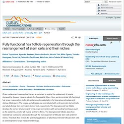 Fully functional hair follicle regeneration through the rearrangement of stem cells and their niches : Nature Communications