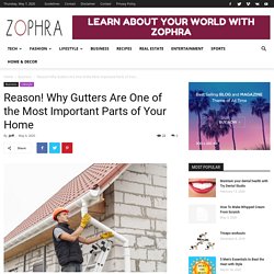 Reason! Why Gutters Are One of the Most Important Parts of Your Home - Zophra