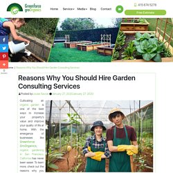 Reasons Why You Should Hire Garden Consulting Services