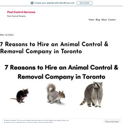 7 Reasons to Hire an Animal Control & Removal Company in Toronto