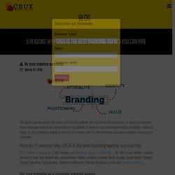 5 Reasons Why Crux is the Best Branding Agency You Can Hire