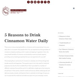 5 Reasons to Drink Cinnamon Water Daily – Grupo Canela