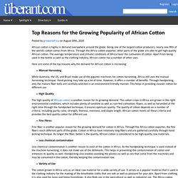 Top Reasons for the Growing Popularity of African Cotton