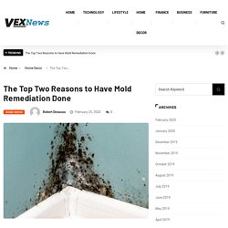 The Top Two Reasons to Have Mold Remediation Done -