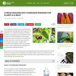 11 Mega Reasons Why Hydrogen Peroxide For Plants Is A Must