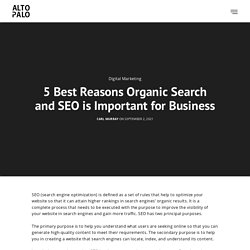 5 Best Reasons Organic Search and SEO is Important for Business