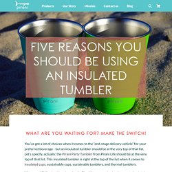 FIVE REASONS YOU SHOULD BE USING AN INSULATED TUMBLER – Pirani Life