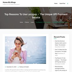 Top Reasons To Use Lazypay – The Unique UPI Payment Service