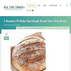 5 Reasons To Make Sourdough Your Only Bread