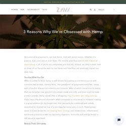 3 Reasons Why We’re Obsessed with Hemp – ZAVI